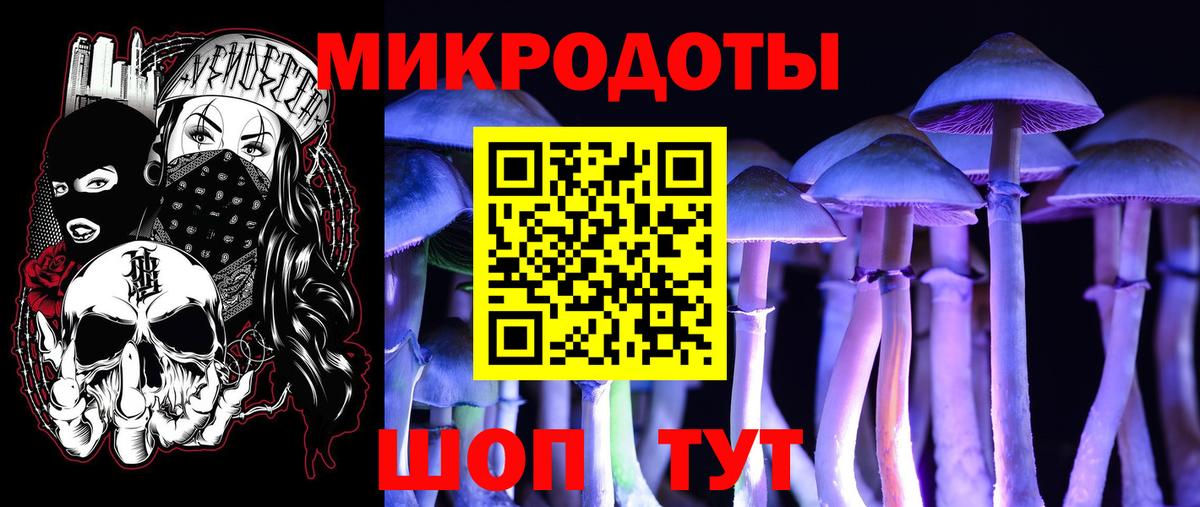 Тельмана  Галлюциногенные грибы прущие грибы  Вход с VPN  Псилоцибиновые грибы ЛСД 