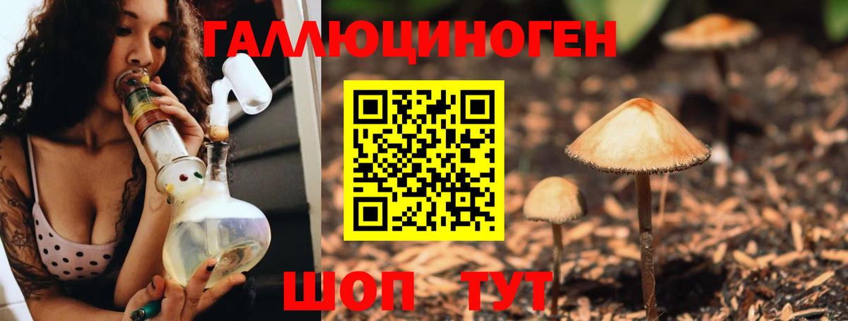 Галлюциногенные грибы Psilocybine cubensis Тельмана